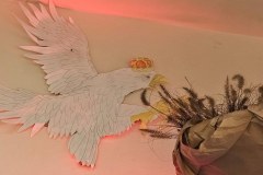 575175692_1299173398677197_2194844205999520272_n_800x482