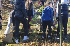 573606616_1292889035972300_2216266897368929969_n_800x374