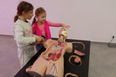 585533851_1310425704218633_8895058984300968384_n_800x600