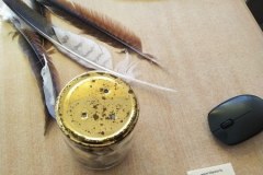 577172037_1297571022170768_1764019063187134856_n_450x600