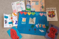 641184444_1383737933554076_3560723550618364158_n_800x600