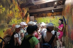 727236167_1480768250517710_7561564900212425624_n_800x600