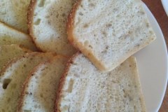 575621935_1296397155621488_1362261990883538953_n_450x600