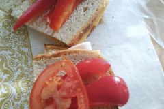 571331651_1291580829436454_7472372051786953261_n_450x600